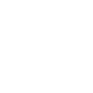 Web Development Service